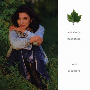 久久网爽死我了
